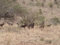 dsc01056.jpg