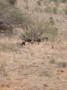 dsc01057.jpg
