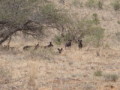 dsc01058.jpg