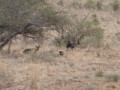dsc01059.jpg