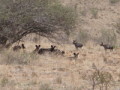 dsc01060.jpg