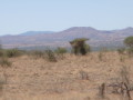 dsc01062.jpg