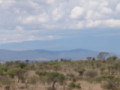 dsc01063.jpg