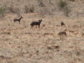 dsc01065.jpg