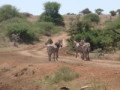 dsc01066.jpg