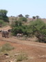 dsc01068.jpg