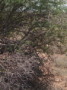 dsc01072.jpg