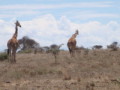 dsc01073.jpg