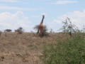 dsc01079.jpg