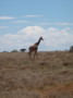 dsc01083.jpg