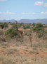 dsc01084.jpg