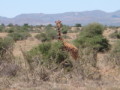 dsc01085.jpg