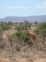 dsc01086.jpg