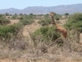 dsc01087.jpg