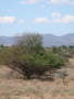 dsc01089.jpg