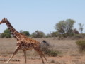dsc01091.jpg
