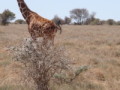 dsc01092.jpg