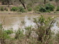 dsc01095.jpg