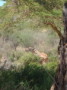 dsc01096.jpg