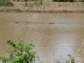 dsc01101.jpg