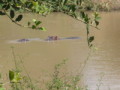 dsc01102.jpg