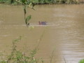 dsc01103.jpg