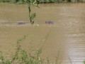dsc01105.jpg
