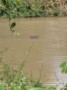 dsc01106.jpg