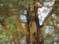 dsc01107.jpg