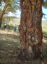 dsc01108.jpg