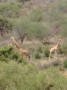 dsc01109.jpg