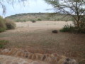 dsc01110.jpg