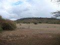 dsc01113.jpg