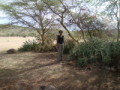 dsc01118.jpg