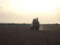 dsc01125.jpg