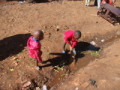 dsc01154.jpg