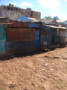 dsc01156.jpg