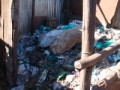 dsc01161.jpg