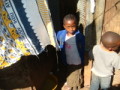 dsc01163.jpg