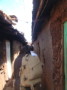 dsc01177.jpg