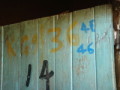 dsc01182.jpg