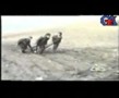 1207173142_hi.flv-001.jpg