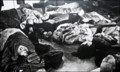 261626.jpg