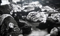261626.jpg