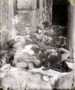 savuranoglu_b5268b9a7ca92c4dbc5f774dp.jpg