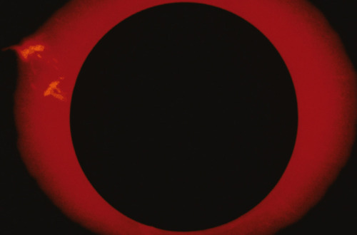 34019.jpg