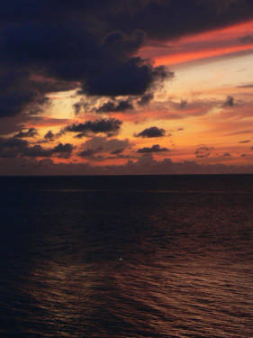 623339_12430505.jpg