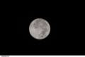 moon2.jpg