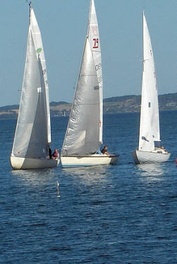 695287_58891654.jpg