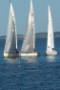 695287_58891654.jpg